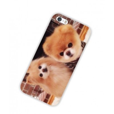 Чехол iPhone 5, 5s шпиц померанский собака