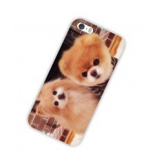 Чехол iPhone 5, 5s шпиц померанский собака