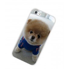 Чехол iPhone 5 5s шпиц померанский собака пластиковый 