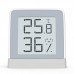 Термометр-гигрометр Xiaomi Digital Thermometer Hygrometer (MHO-C201)